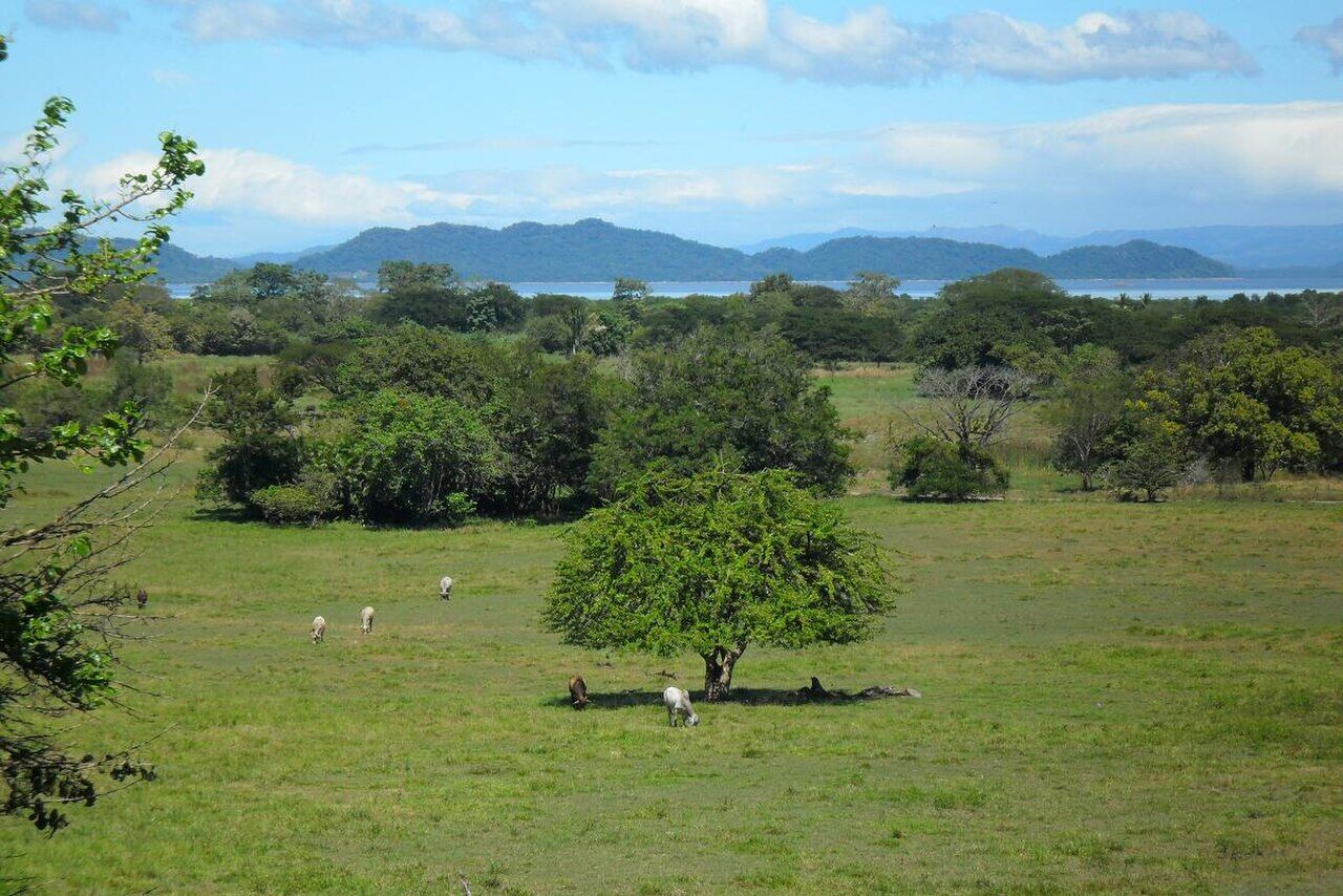 Península de Nicoya