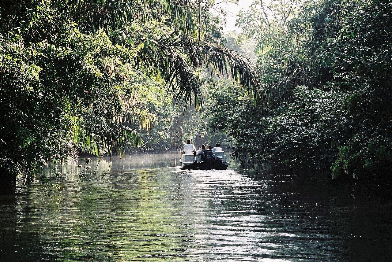 Canales de Tortuguero